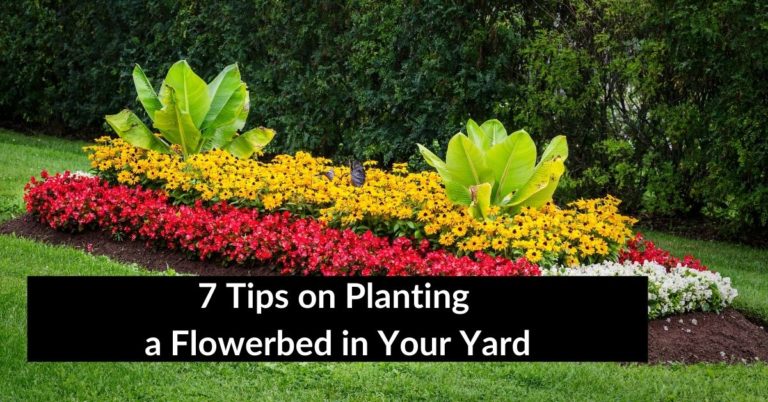 7 Tips on Planting a Flowerbed in Your Yard