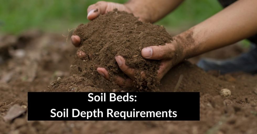 Raised Beds Soil Depth Requirements Yard A Z