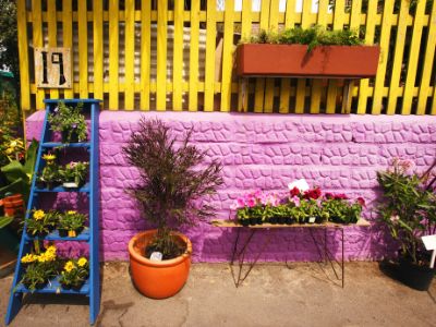 10 Tips on Building Shade Structures in Your Yard