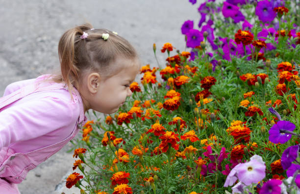 Marigolds 