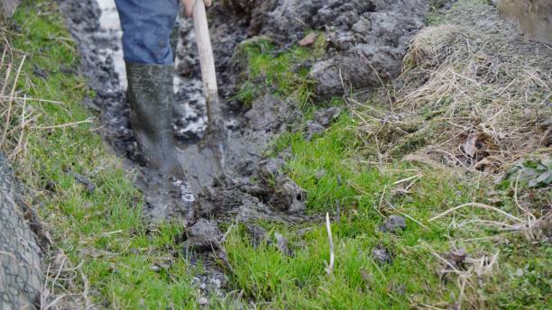 Cover Mud in Yard