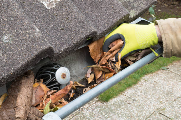 Find Gutter Drains in Your Yard