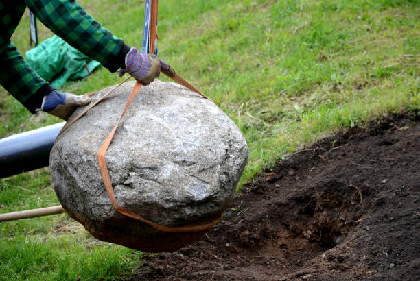 How to Get Rid of Large Rocks in Your Yard