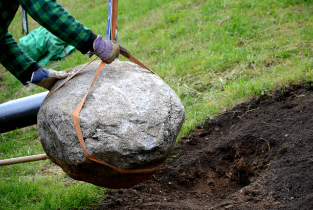 Get Rid of Large Rocks in Your Yard