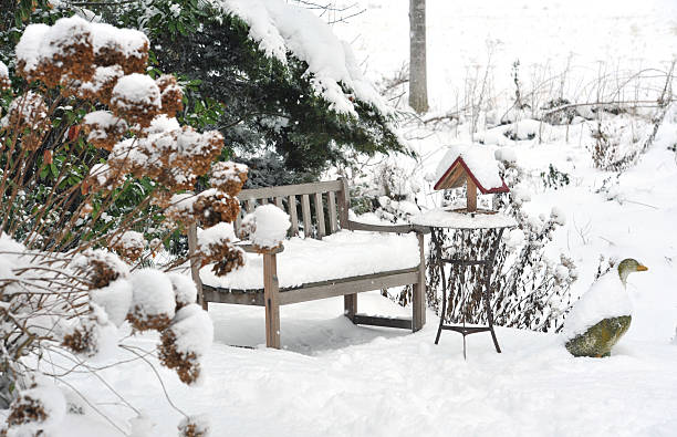 How to Prepare Your Yard for Winter