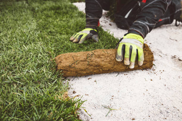 Level Your Yard for Artificial Turf