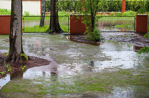 What to Do for a Muddy Yard