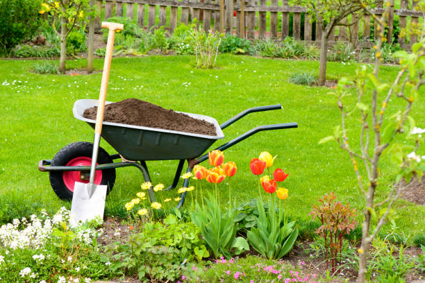 Wheelbarrows to a Yard