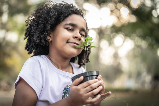 The Top 10 Children-Friendly Plants for Your Yard