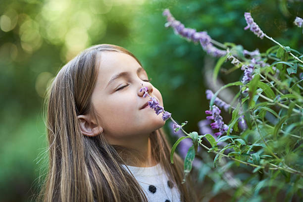 The Top 10 Children-Friendly Plants for Your Yard