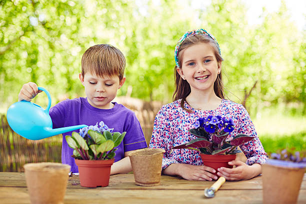 The Top 10 Children-Friendly Plants for Your Yard