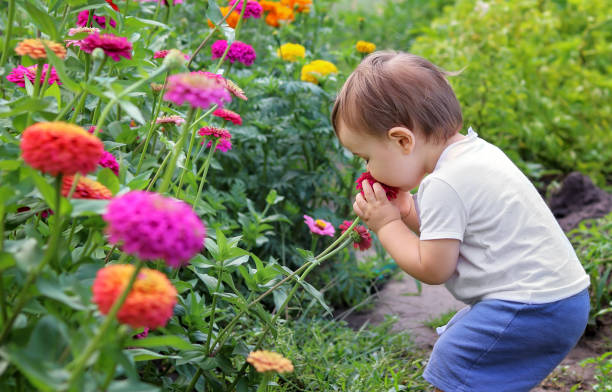 The Top 10 Children-Friendly Plants for Your Yard