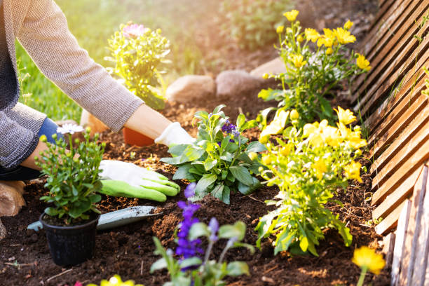 Spring Gardening