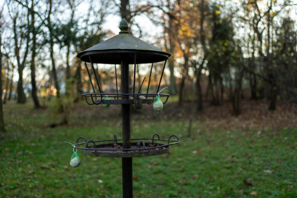  Birdwatching Station 